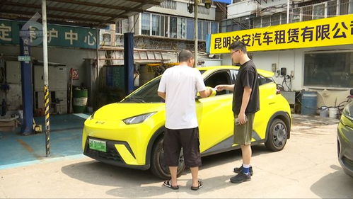 假日租車市場持續火熱，家庭出行與社交需求催生“國民神車”